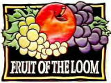 Fruit of The Loom